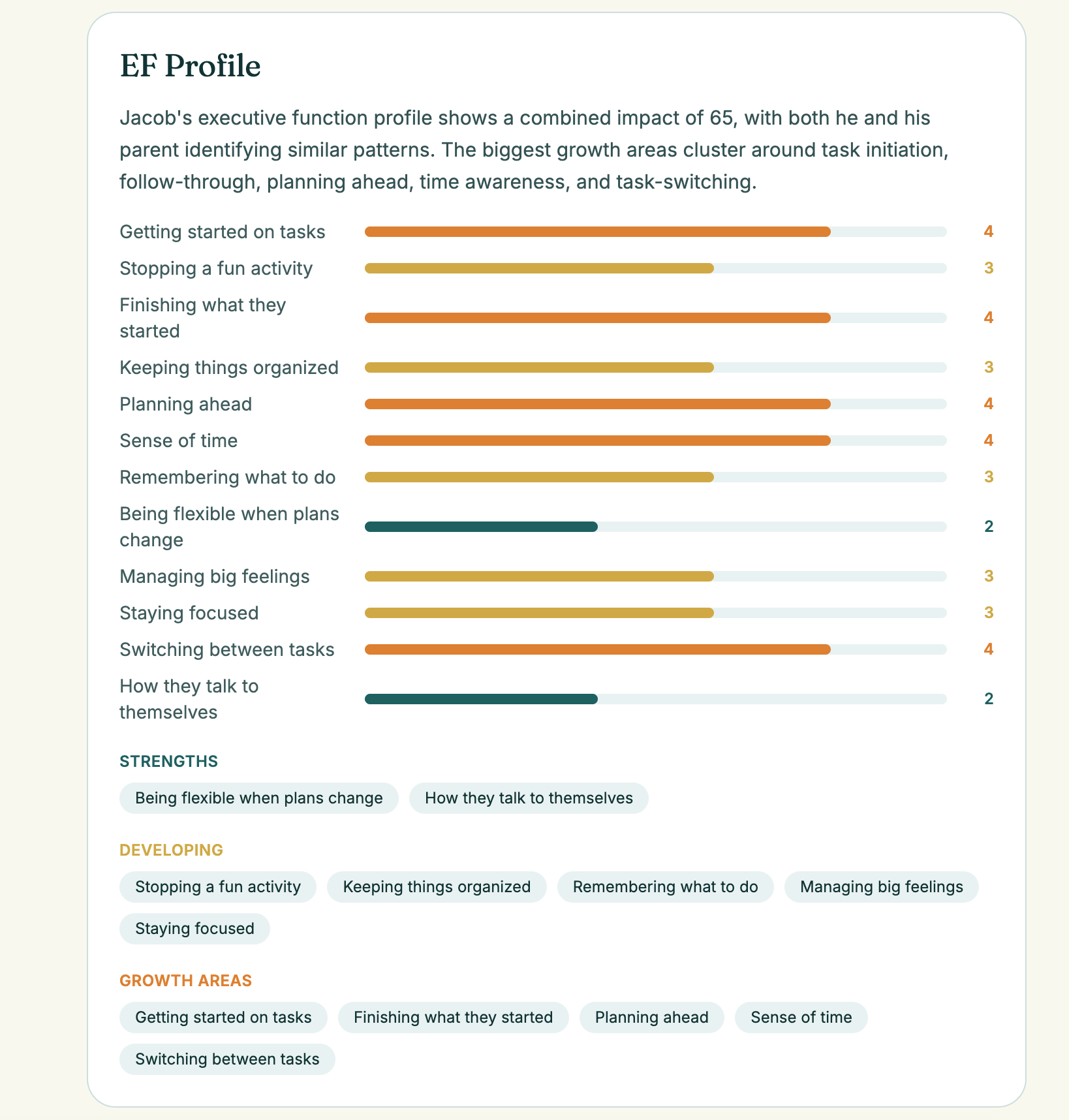 Student Pulse Point — executive function profile with strengths, developing, and growth areas